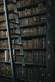 library shelf near black wooden ladder