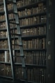 library shelf near black wooden ladder