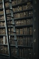 library shelf near black wooden ladder