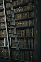 library shelf near black wooden ladder
