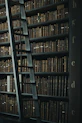 library shelf near black wooden ladder