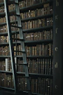 library shelf near black wooden ladder