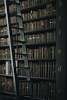 library shelf near black wooden ladder