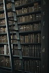 library shelf near black wooden ladder