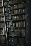 library shelf near black wooden ladder