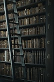 library shelf near black wooden ladder