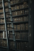 library shelf near black wooden ladder