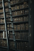 library shelf near black wooden ladder