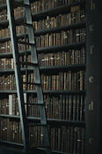 library shelf near black wooden ladder