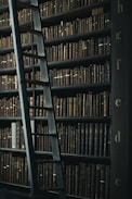 library shelf near black wooden ladder