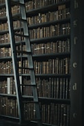 library shelf near black wooden ladder