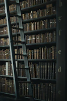 library shelf near black wooden ladder