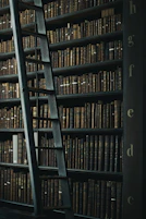 library shelf near black wooden ladder
