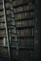 library shelf near black wooden ladder