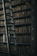library shelf near black wooden ladder