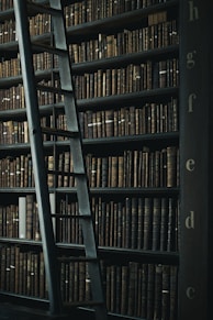 Une bibliothèque en bois avec des livres anciens, nervés et aux couvertures anciennes 