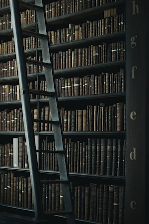Large Library wall with ladder, showcasing books on biblical metaphysical studies