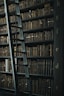 library shelf near black wooden ladder