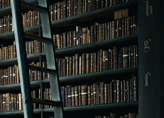 library shelf near black wooden ladder