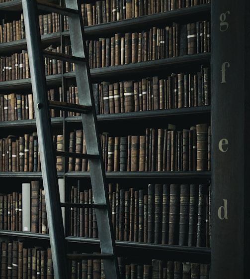 library shelf near black wooden ladder
