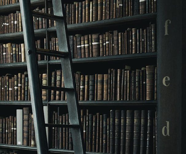 library shelf near black wooden ladder