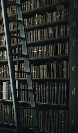 library shelf near black wooden ladder