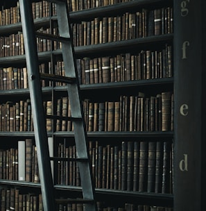 library shelf near black wooden ladder