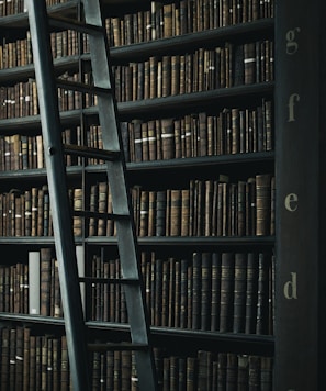 library shelf near black wooden ladder