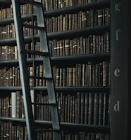 library shelf near black wooden ladder