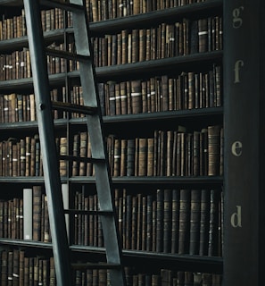 library shelf near black wooden ladder