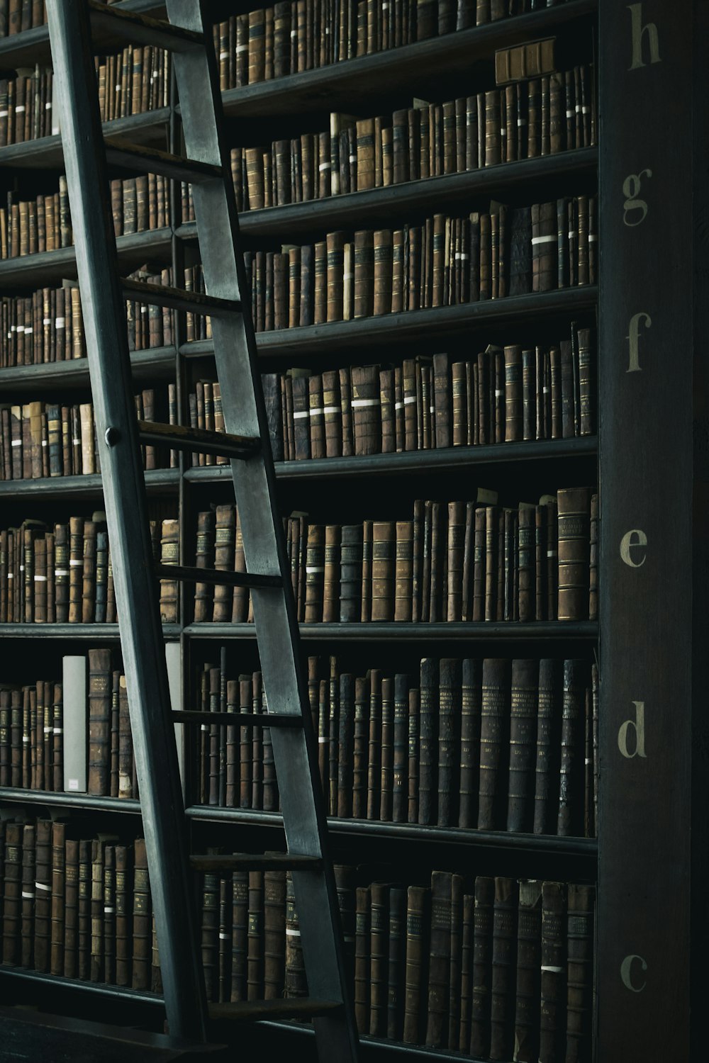 library shelf near black wooden ladder