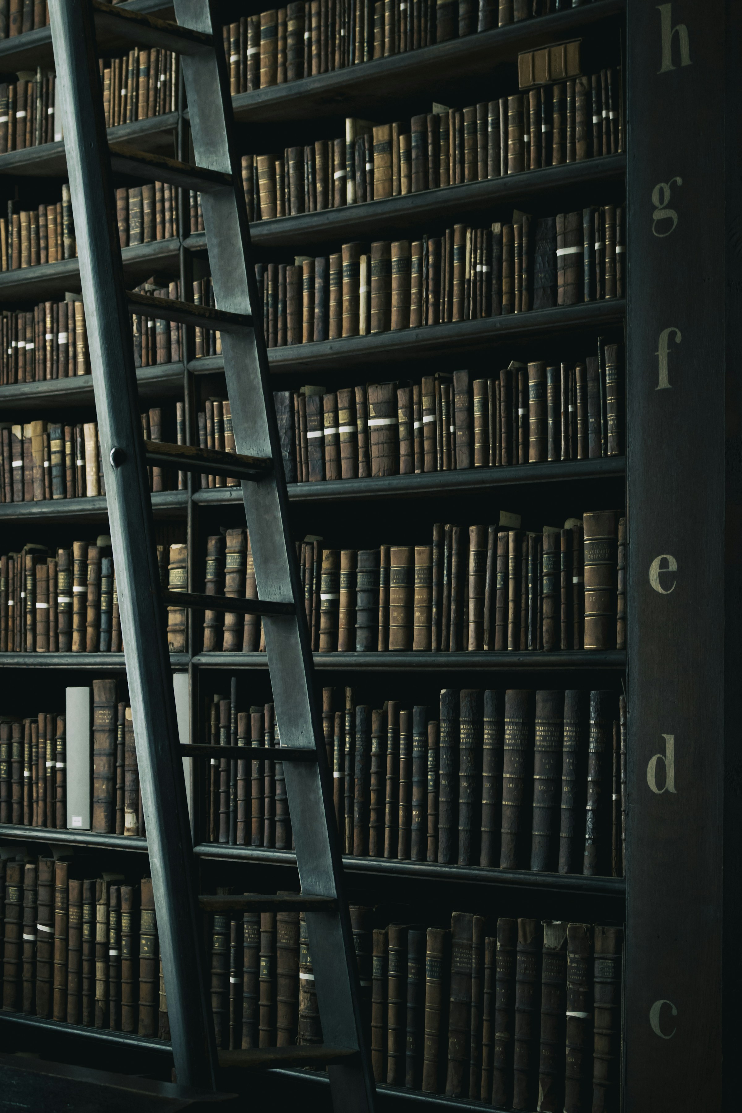 A stack of antique leather-bound classic books.