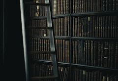 Dark library with a tall ladder