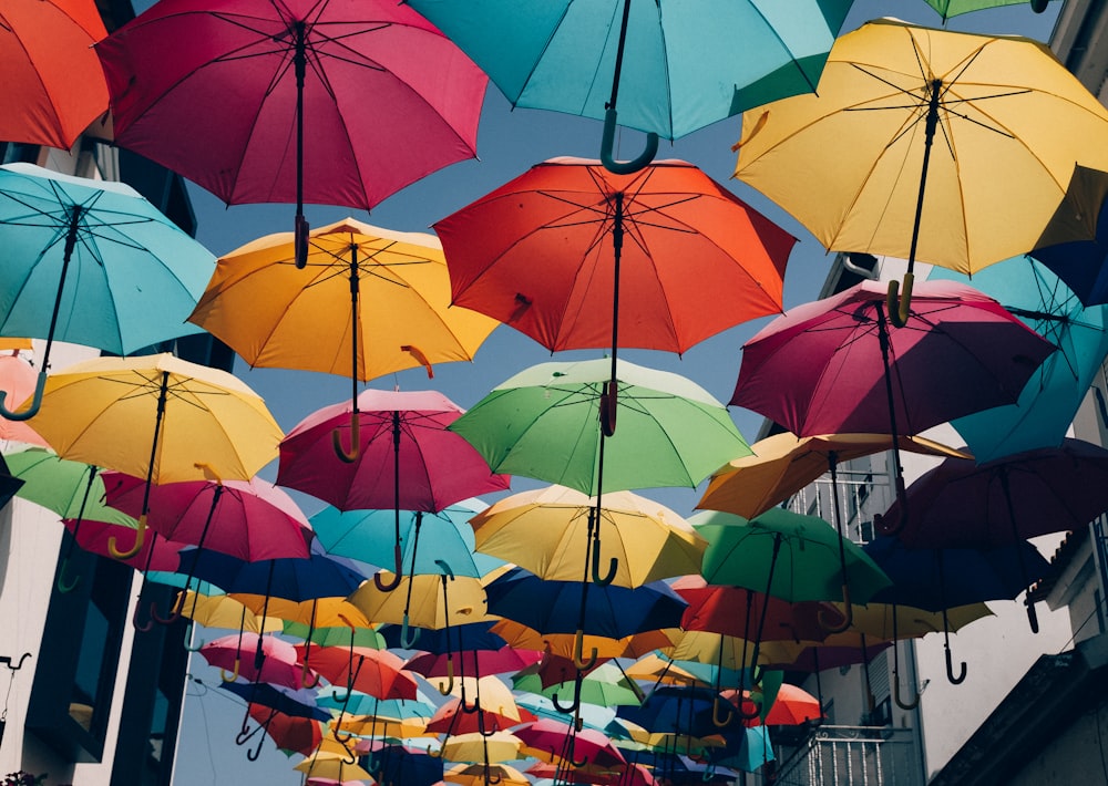 assorted umbrella lot during daytime
