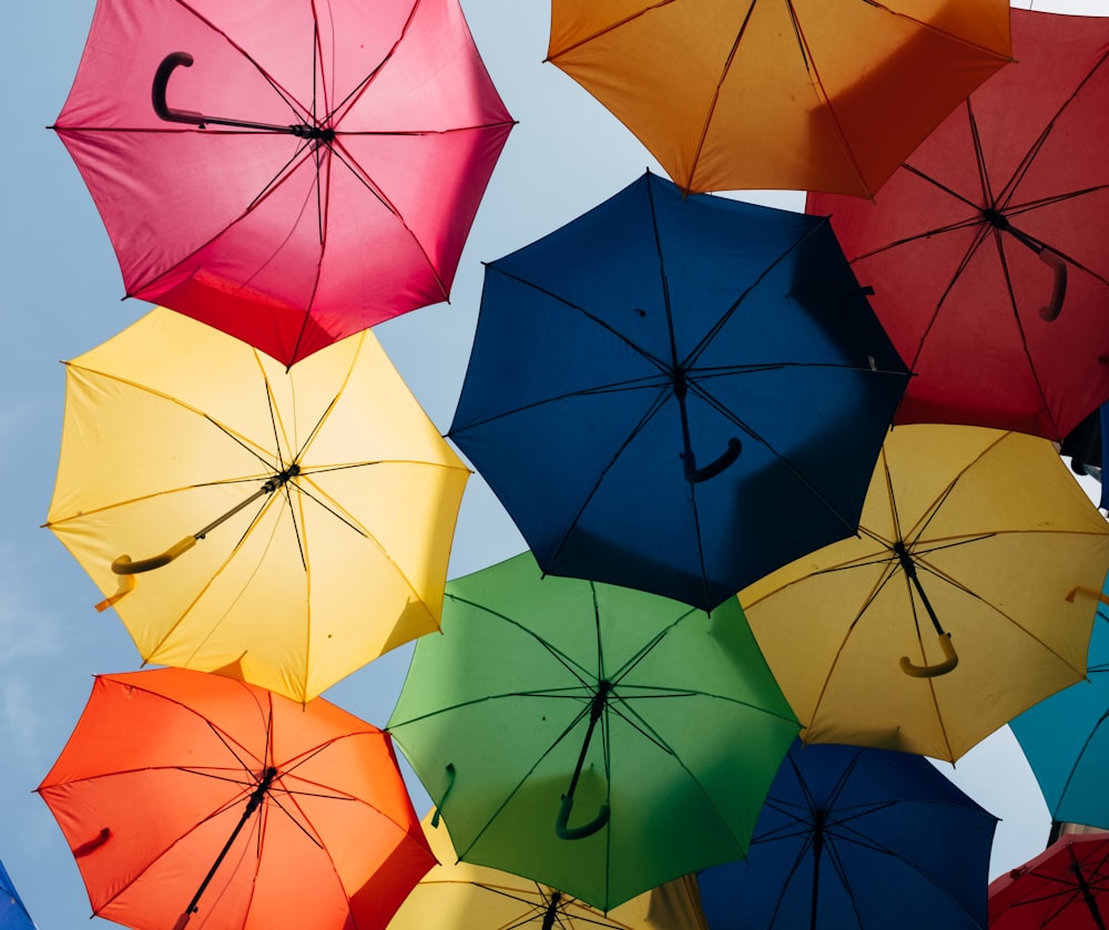 umbrella festival during daytime