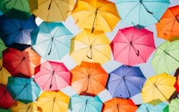 assorted-color opened umbrellas