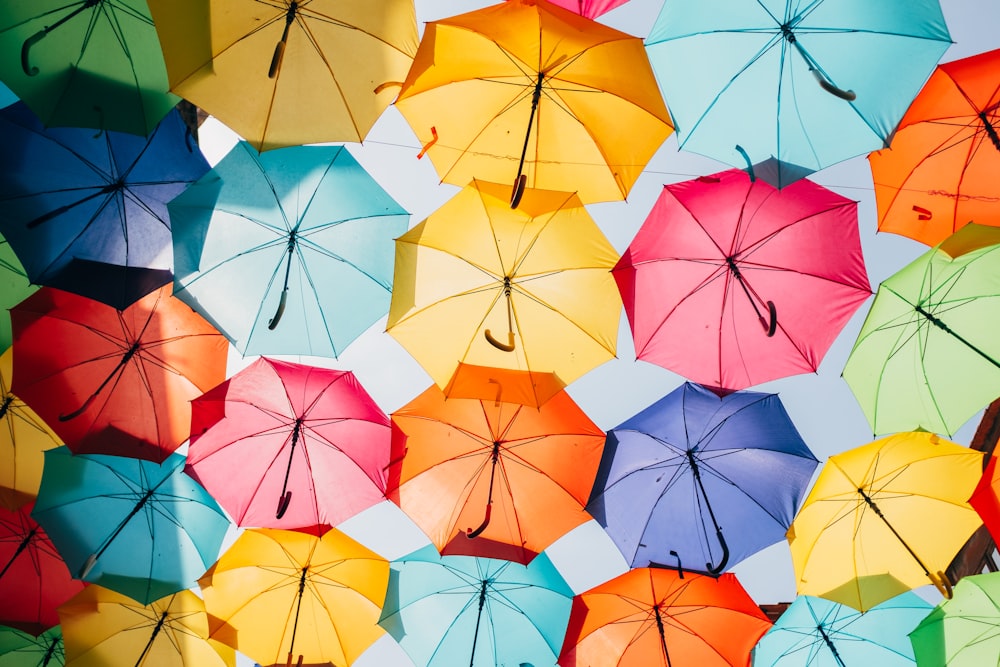 Parapluies ouverts de couleurs assorties