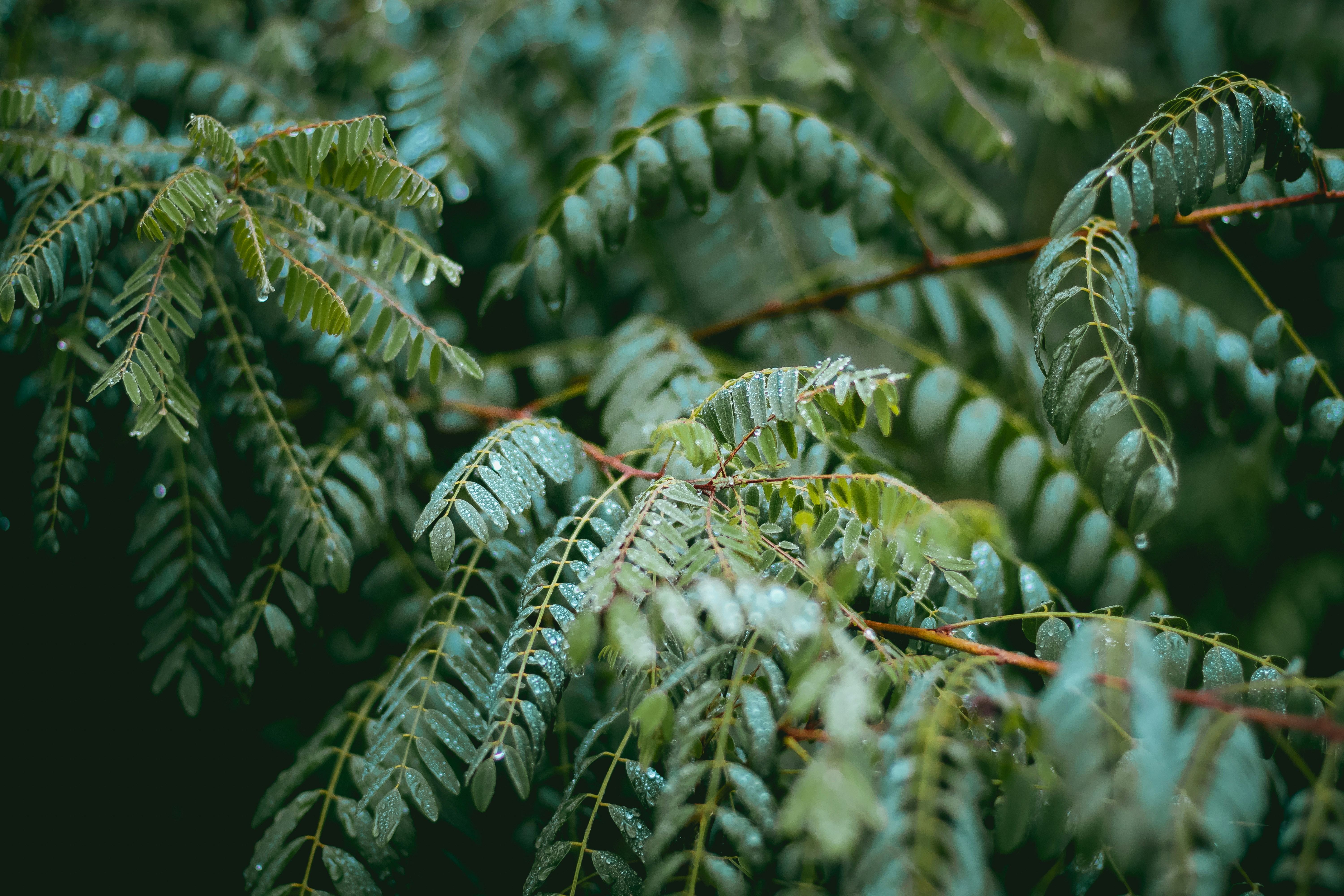 Photo by niklas_hamann