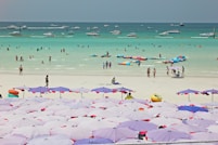 people on white sand beach during daytime
