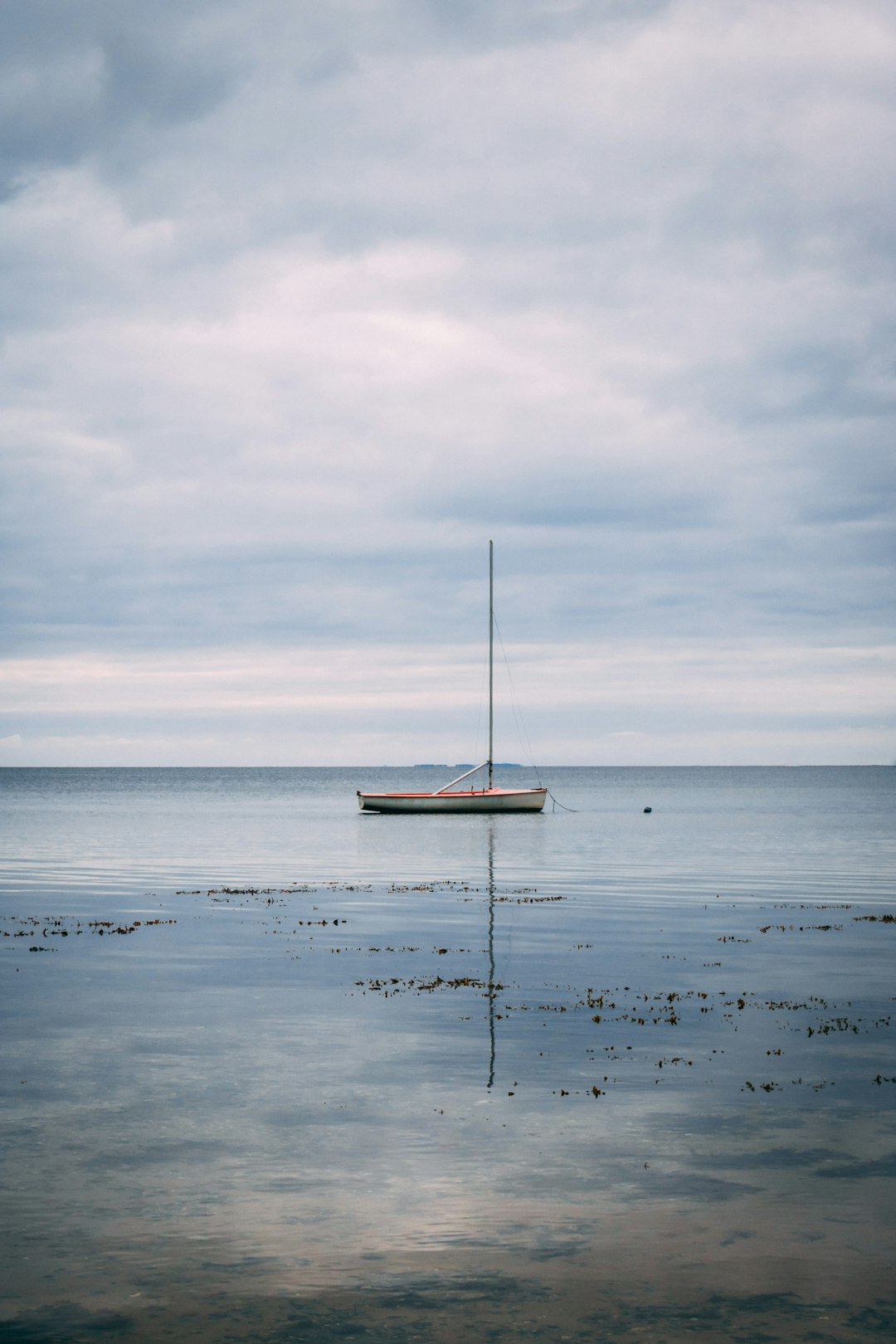 travelers stories about Shore in Nationalpark Mols Bjerge, Denmark