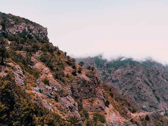brown mountains in La Gomera Spain