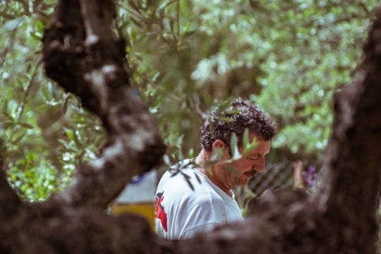 man near tree with green leaves in Chrani Greece