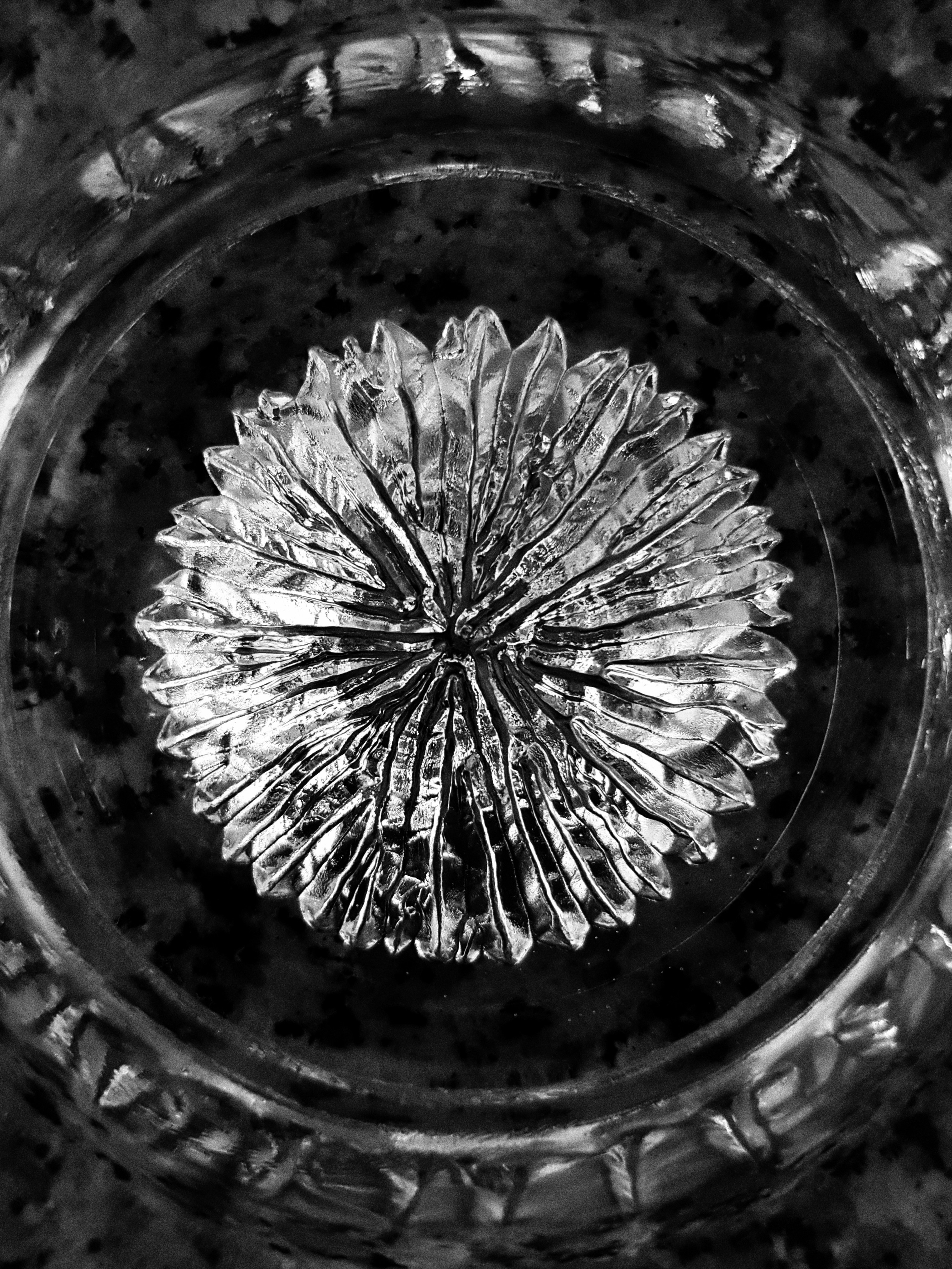 Photography by Daniel Lombraña