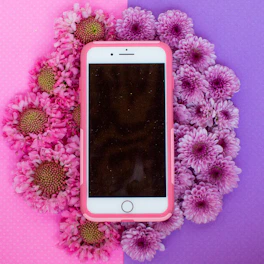 gold iPhone 6 with pink case on white flower background