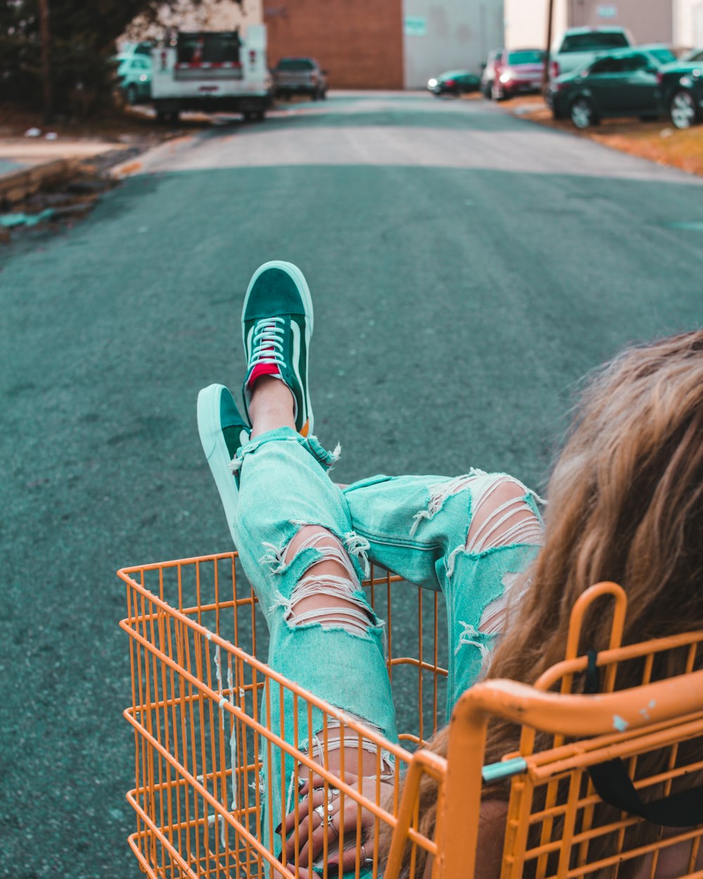 woman in shopping cart