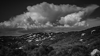 A dramatic landscape representing the honor of the skies.