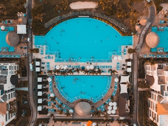 bird's eye photography of building