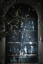 blue wooden door