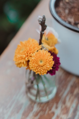 A collection of vibrant flowers in a simple vase.