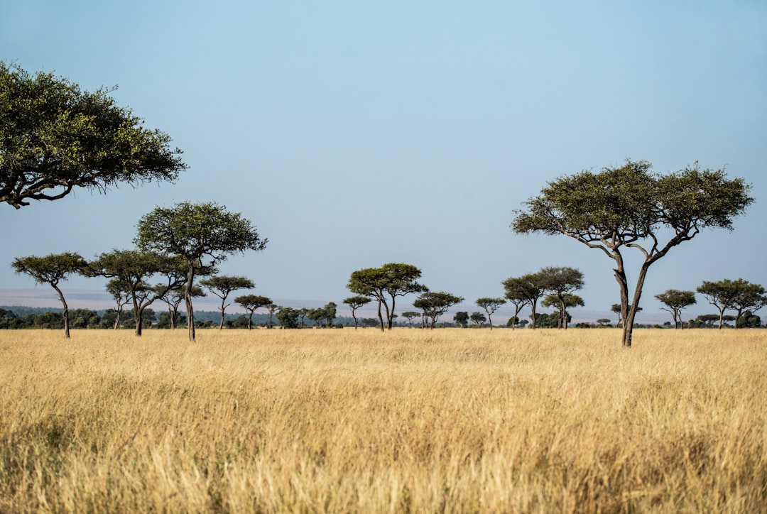 Plain photo spot Masai Mara National Reserve Kenya